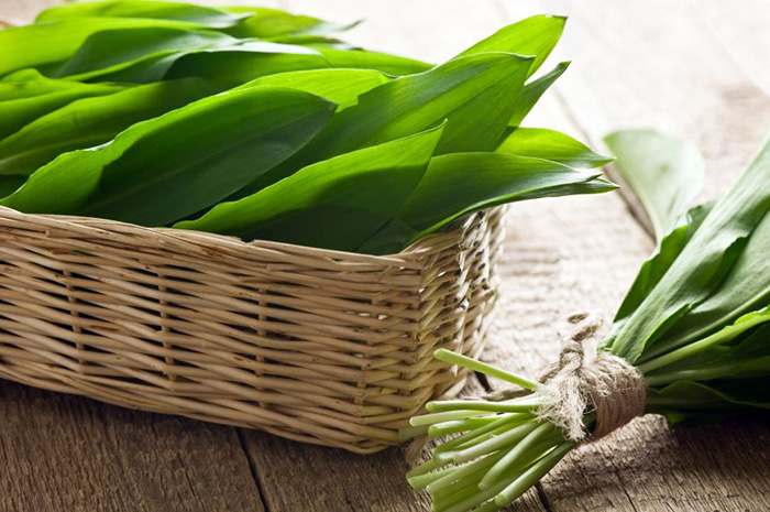 A medvehagyma leveleit a szárról lecsipkedjük, éppen úgy, mint a spenót esetében. A leveleket megmossuk, többször váltott hideg vízben megmossuk. Kb. 1,5 liter vizet forralunk, a szódabikarbónát beleszórjuk – ez azért kell, hogy a medvehagyma üde zöld színű maradjon – majd a medvehagymát belerakjuk. Fakanállal többször megkeverjük, és 1-2 perc múlva, amikor a levelek jól összeestek, leszűrjük.